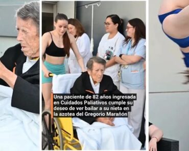 Doente Dos Cuidados Paliativos Sai Para Cumprir Sonho De Ver Neta Dançar Doente Dos Cuidados Paliativos Sai Para Cumprir Sonho De Ver Neta Dançar