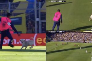 Cão Invade Campo De Futebol Na Argentina e Deixa Funcionários Atrapalhados