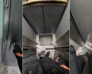 Elevador Em Prédio Na Turquia Surpreende Estafeta Pelas Dimensões Reduzidas Elevador Em Prédio Na Turquia Surpreende Estafeta Pelas Dimensões Reduzidas