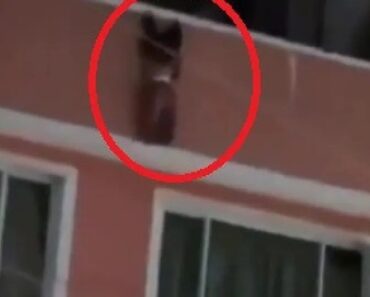 Milagre? Criança De 2 Anos Cai De 4.º Andar e é Salva Por Vizinhos Milagre? Criança De 2 Anos Cai De 4.º Andar e é Salva Por Vizinhos