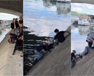 Populares Unem Esforços Para Salvar Cão Preso No Rio Sena Em Paris Populares Unem Esforços Para Salvar Cão Preso No Rio Sena Em Paris