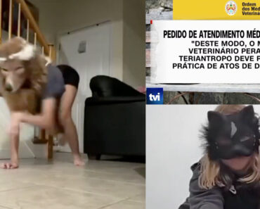 Ordem Dos Veterinários Garante Que Não Há Registo De Therians Em Clínicas Portuguesas… Mas Deixa Alerta Ordem Dos Veterinários Garante Que Não Há Registo De Therians Em Clínicas Portuguesas… Mas Deixa Alerta