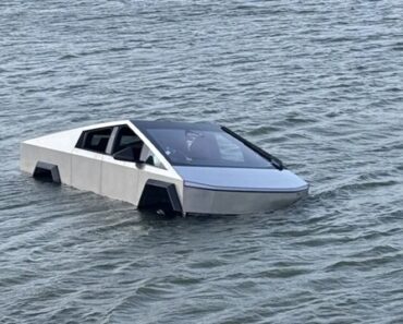 Homem Quis Passar Em Lago Com Tesla. Carro Naufragou e Acabou Detido Homem Quis Passar Em Lago Com Tesla. Carro Naufragou e Acabou Detido