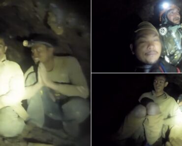 Vídeo Do Momento Em Que 5 Dos 7 Desaparecidos Em Laos São Encontrados Vivos Em Gruta Vídeo Do Momento Em Que 5 Dos 7 Desaparecidos Em Laos São Encontrados Vivos Em Gruta