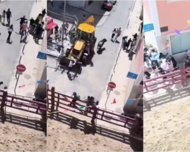 Touro Foge De Largada e Faz Três Feridos Na Feira De Maio Da Azambuja Touro Foge De Largada e Faz Três Feridos Na Feira De Maio Da Azambuja