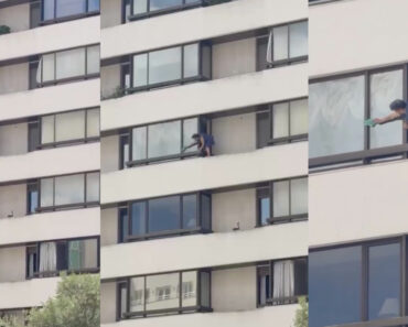 Idosa Filmada a Limpar Janelas No Exterior De Prédio Em Alvalade Idosa Filmada a Limpar Janelas No Exterior De Prédio Em Alvalade