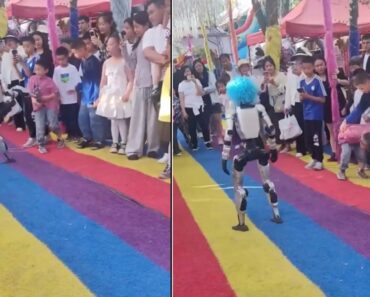 Robô Dá Pontapé a Criança Durante Demonstração De Artes Marciais Na China Robô Dá Pontapé a Criança Durante Demonstração De Artes Marciais Na China