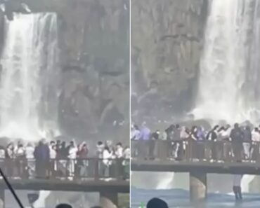 Turista Arrisca Vida Para Recuperar Telemóvel Nas Cataratas Do Iguaçu Turista Arrisca Vida Para Recuperar Telemóvel Nas Cataratas Do Iguaçu
