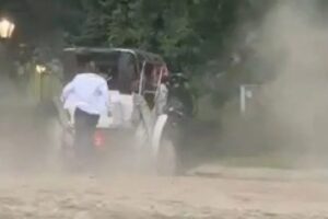 Turista Morre Em Passeio De Carruagem Depois De Cavalo Perder o Controlo