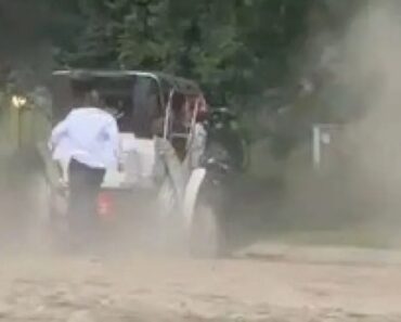 Turista Morre Em Passeio De Carruagem Depois De Cavalo Perder o Controlo Turista Morre Em Passeio De Carruagem Depois De Cavalo Perder o Controlo
