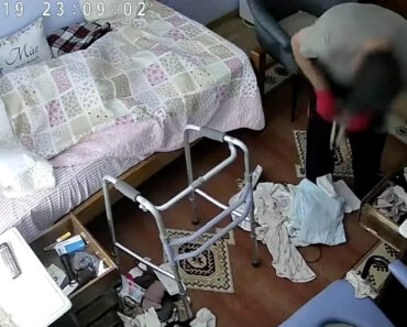 Ladrão Filmado a Roubar Idosa De 96 Anos Acamada Em Matosinhos Ladrão Filmado a Roubar Idosa De 96 Anos Acamada Em Matosinhos