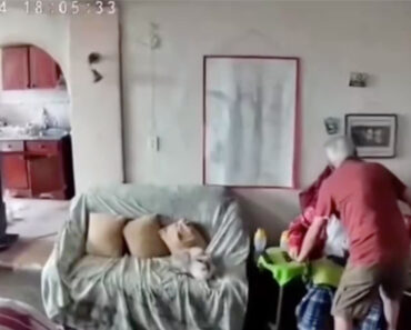 Vídeo Emocionante Mostra Idoso a Proteger a Mulher Durante Sismo Na Venezuela Vídeo Emocionante Mostra Idoso a Proteger a Mulher Durante Sismo Na Venezuela