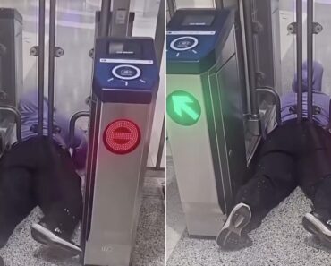 Mulher Fica Presa Em Cancela Ao Tentar Entrar Sem Pagar No Metro Mulher Fica Presa Em Cancela Ao Tentar Entrar Sem Pagar No Metro