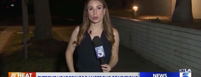 Repórter Surpreende Ao Manter a Calma Enquanto Uma Barata Lhe Sobe Pelo Pescoço Repórter Surpreende Ao Manter a Calma Enquanto Uma Barata Lhe Sobe Pelo Pescoço