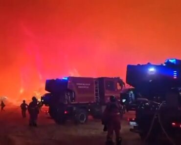Imagens Impressionantes Mostram Incêndio Que Já Consumiu Mais De 4 Mil Hectares Em Espanha Imagens Impressionantes Mostram Incêndio Que Já Consumiu Mais De 4 Mil Hectares Em Espanha