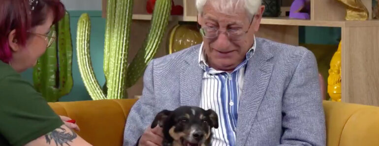 Idoso Entrega o Cão Para Adoção e o Desfecho Está a Emocionar Espanha: “Perdoa-me!” Idoso Entrega o Cão Para Adoção e o Desfecho Está a Emocionar Espanha: “Perdoa-me!”