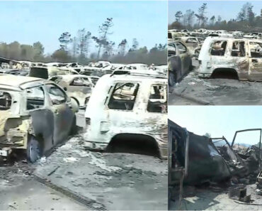 Mais De 500 Carros Destruídos Por Incêndio Numa Empresa De Desmantelamento Em Valpaços Mais De 500 Carros Destruídos Por Incêndio Numa Empresa De Desmantelamento Em Valpaços