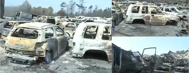 Mais De 500 Carros Destruídos Por Incêndio Numa Empresa De Desmantelamento Em Valpaços Mais De 500 Carros Destruídos Por Incêndio Numa Empresa De Desmantelamento Em Valpaços