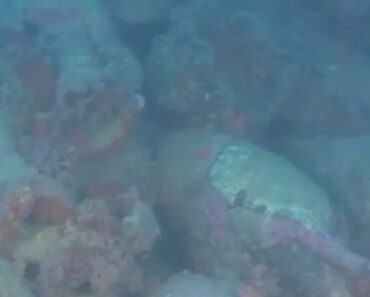 Navio Naufragado Da Época Romana Descoberto Em Itália Navio Naufragado Da Época Romana Descoberto Em Itália