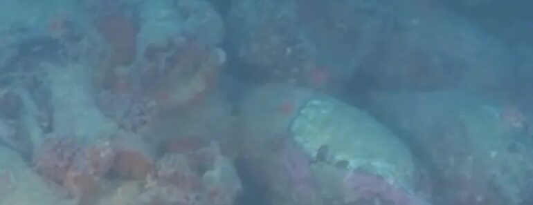Navio Naufragado Da Época Romana Descoberto Em Itália Navio Naufragado Da Época Romana Descoberto Em Itália