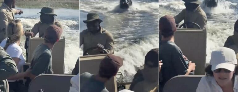 Hipopótamo Persegue Barco Cheio De Turistas e Provoca Momentos De Pânico No Botsuana Hipopótamo Persegue Barco Cheio De Turistas e Provoca Momentos De Pânico No Botsuana