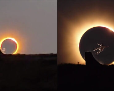 Skater Olímpico Espanhol Danny León Criou o Vídeo Mais Impressionante Do Eclipse Solar Skater Olímpico Espanhol Danny León Criou o Vídeo Mais Impressionante Do Eclipse Solar