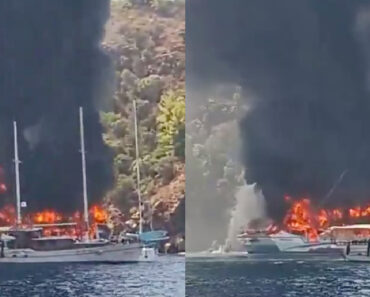 Barco Turístico Pega Fogo Com 115 Pessoas a Bordo e Passageiros São Obrigados a Saltar Para o Mar Barco Turístico Pega Fogo Com 115 Pessoas a Bordo e Passageiros São Obrigados a Saltar Para o Mar