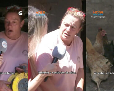 Mulher Liga Ventoinha Para Refrescar Galinhas e Momento Torna-se Viral Na Televisão Galega Mulher Liga Ventoinha Para Refrescar Galinhas e Momento Torna-se Viral Na Televisão Galega