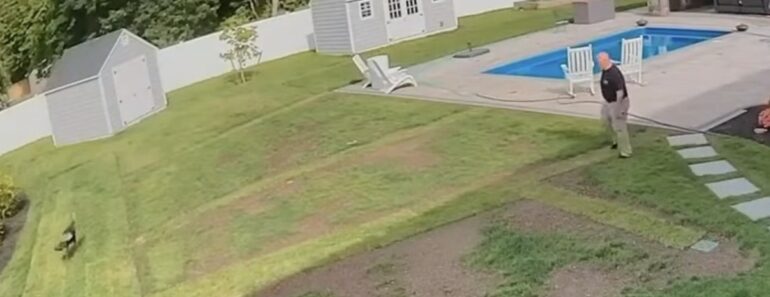 Quando Um Pássaro Entra No Quintal De Alguém e Sai Por Onde Não Era Suposto Quando Um Pássaro Entra No Quintal De Alguém e Sai Por Onde Não Era Suposto