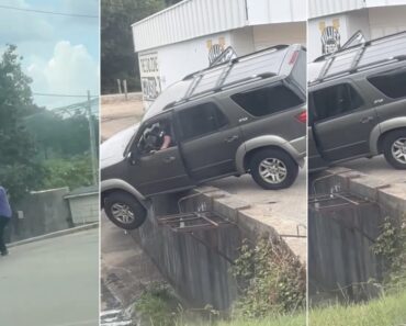 Quando a Tentativa De Ajudar Acaba Por Tornar Tudo Muito Pior Quando a Tentativa De Ajudar Acaba Por Tornar Tudo Muito Pior