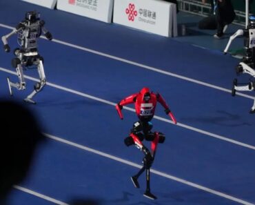 Robô Bate Recorde Mundial De Usain Bolt Nos 100 Metros… e No Final é Levado Em Maca Robô Bate Recorde Mundial De Usain Bolt Nos 100 Metros… e No Final é Levado Em Maca