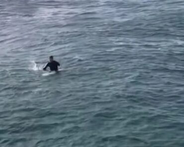Surfista Em “Dificuldades” Resgatado Na Praia Do Guincho. Veja As Imagens Surfista Em “Dificuldades” Resgatado Na Praia Do Guincho. Veja As Imagens