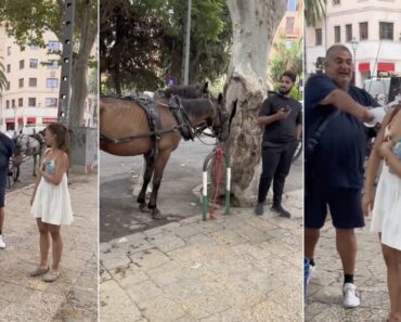 Turista Alemã é Atacada Em Maiorca Após Pedir Água Para Cavalo Turista Alemã é Atacada Em Maiorca Após Pedir Água Para Cavalo