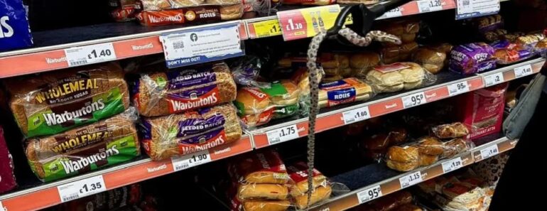 Cobra Encontrada Na Secção Do Pão Em Supermercado Em Inglaterra