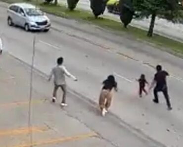 Atira-se Para o Meio Da Estrada Para Salvar Criança Que Fugia Dos Pais Atira-se Para o Meio Da Estrada Para Salvar Criança Que Fugia Dos Pais