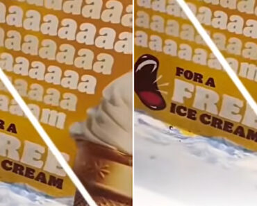 O Lugar Que Dá Um Gelado De Graça Para Quem Pedir… a Gritar O Lugar Que Dá Um Gelado De Graça Para Quem Pedir… a Gritar