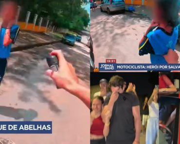 Homem Que Salvou Uma Menina De Um Ataque De Abelhas é Recompensado Com Uma Moto e Um Carro Homem Que Salvou Uma Menina De Um Ataque De Abelhas é Recompensado Com Uma Moto e Um Carro