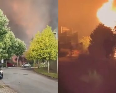 “Foi o Inferno”. Casa De Susana Dias Ramos Ameaçada Por Incêndio “Foi o Inferno”. Casa De Susana Dias Ramos Ameaçada Por Incêndio