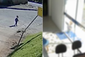 Bebé De 18 Meses Foge Da Creche e Chega Até Ao Local De Trabalho Da Mãe
