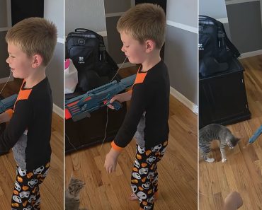 Menino Prepara Espetáculo Para Tirar o Dente Mas é o Gato Que Encerra o Show Menino Prepara Espetáculo Para Tirar o Dente Mas é o Gato Que Encerra o Show